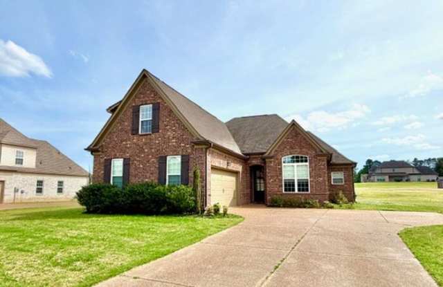 4049 Shinault Cove photos photos