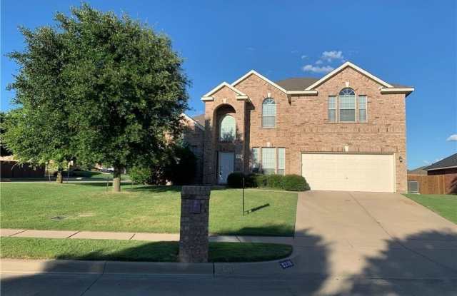 5226 Charisma Drive - 5226 Charisma Drive, Midlothian, TX 76065