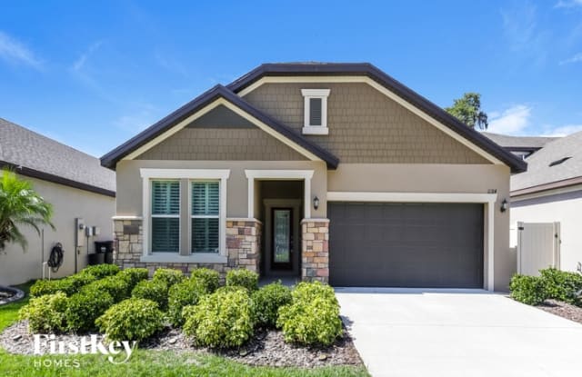 11314 American Holly Drive - 11314 American Holly Drive, Brandon, FL 33578