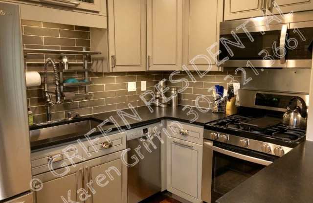 1305 E 12th Avenue #3 - 1305 East 12th Avenue, Denver, CO 80218