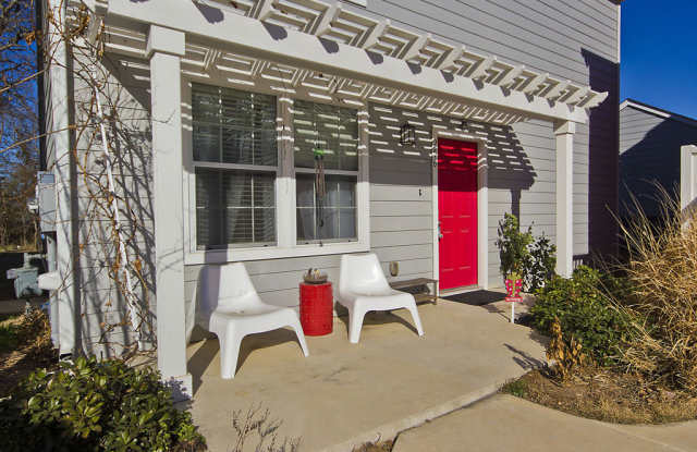 256 Trestle Tree - 256 Trestle Tree, San Marcos, TX 78666