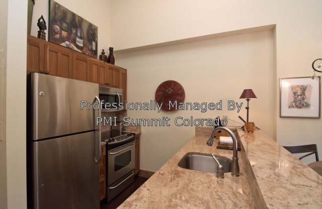 20 Hunki Dori Ct. - 20 Hunki Dori Court, Keystone, CO 80435
