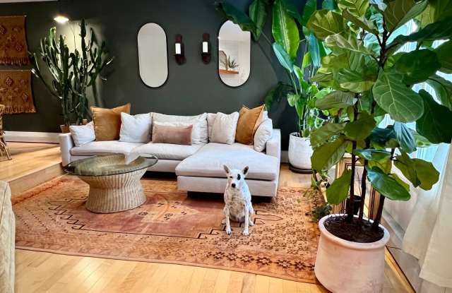 Available in July! Pet Friendly Fully Furnished Townhouse close to Hospitals, UAA photos photos