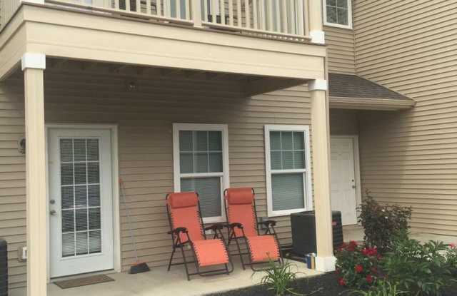1 BR 1 BA Lower with Patio Gallery 2
