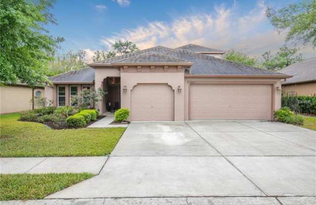 4811 Diamonds Palm Loop - 4811 Diamonds Palm Loop, Wesley Chapel, FL 33543