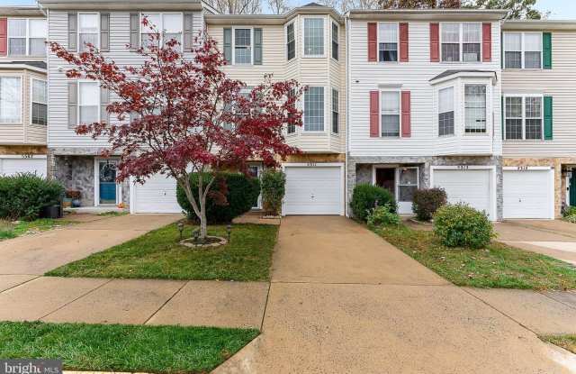 5311 YELLOW TURTLE Place - 5311 Yellow Turtle Place, Montclair, VA 22193