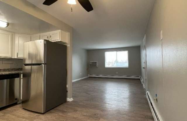 Beautifully Remodeled, Spacious 3 Bedroom Apartment with In-Unit Laundry and A/C. Gallery 3