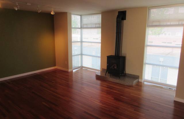 Downtown Condo Gallery 4