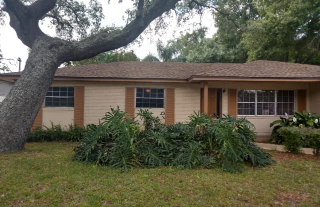4429 Dolphin Dr - 4429 Dolphin Drive, East Lake-Orient Park, FL 33617