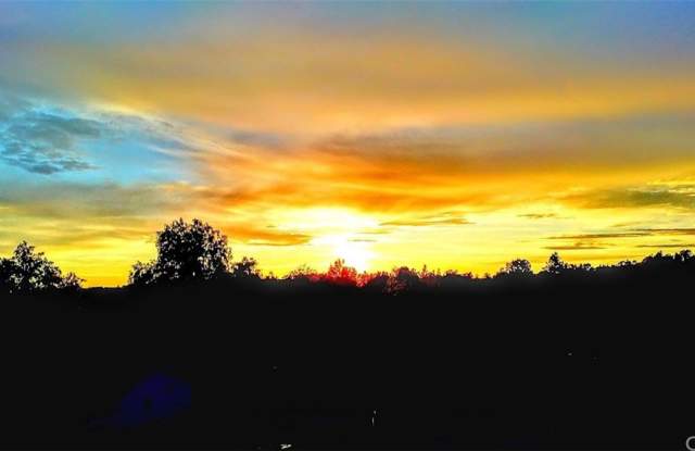 23671 Via Lopez Gallery 3
