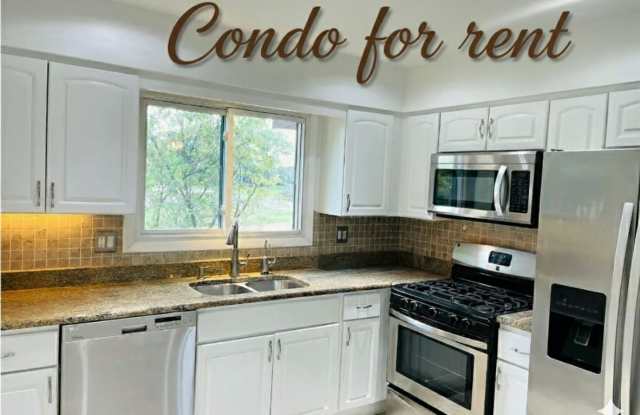 1656 Dover Ct - 1656 Dover Court, Wheaton, IL 60189