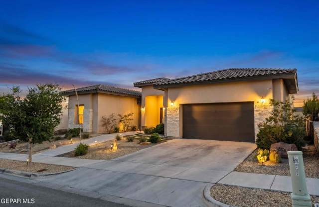 1356 DESERT NIGHT Street Gallery 2