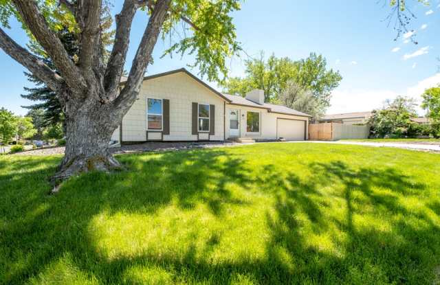 1599 Cedar Street - 1599 Cedar Street, Broomfield, CO 80020