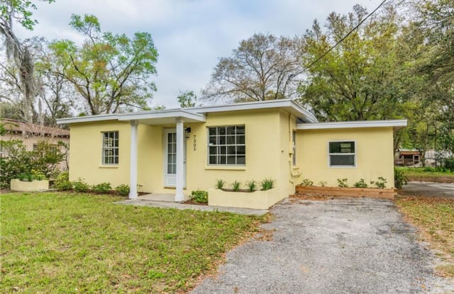 7305 N ORLEANS AVENUE - 7305 North Orleans Avenue, Tampa, FL 33604