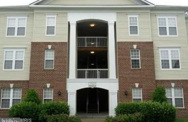 22691 BLUE ELDER TERRACE photos photos