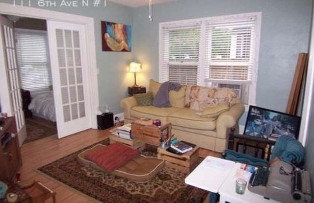 111 6th Ave N #1 Gallery 3