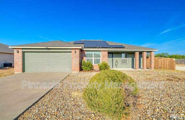 1229 Elmo photos photos