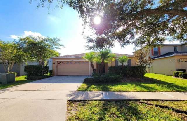 5038 BALLARD CREST LANE - 5038 Ballard Crest Lane, Wesley Chapel, FL 33543