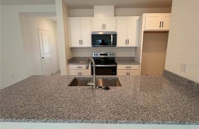 16631 LUMINARY LOOP Gallery 3