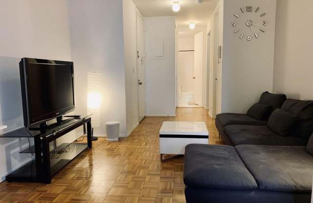 350 W 50th Street unit: 3-Q photos photos