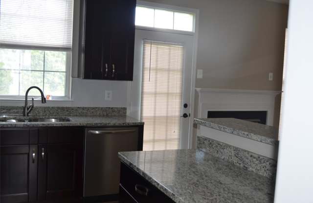 14118 Silver Teal Way Gallery 4