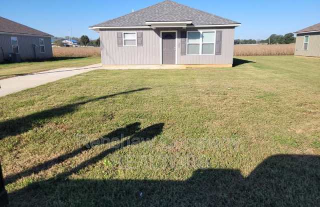 509 Dana Ave - 509 Dana Street, Dyersburg, TN 38024