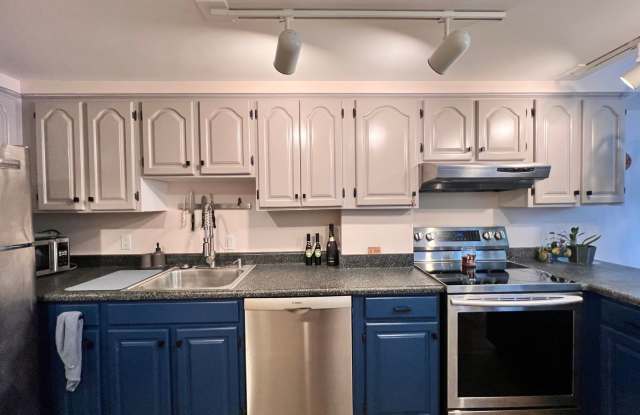Updated 1-Bedroom Condo | In-Unit Laundry | 2 Parking Spaces | South Portland Gallery 3