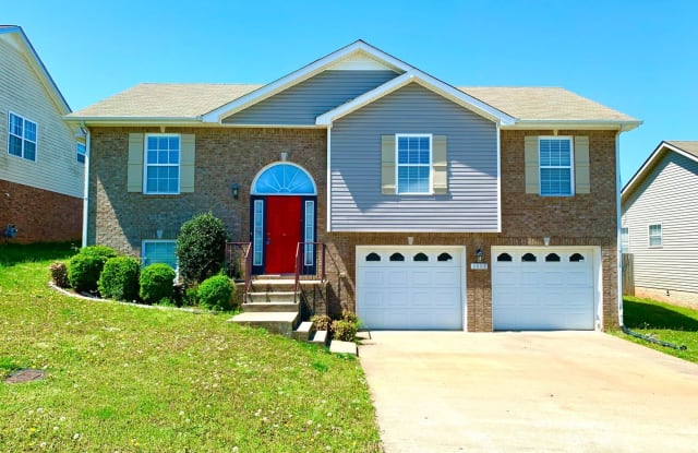 1608 Buchanon Dr. - 1608 Buchanan Drive, Clarksville, TN 37042