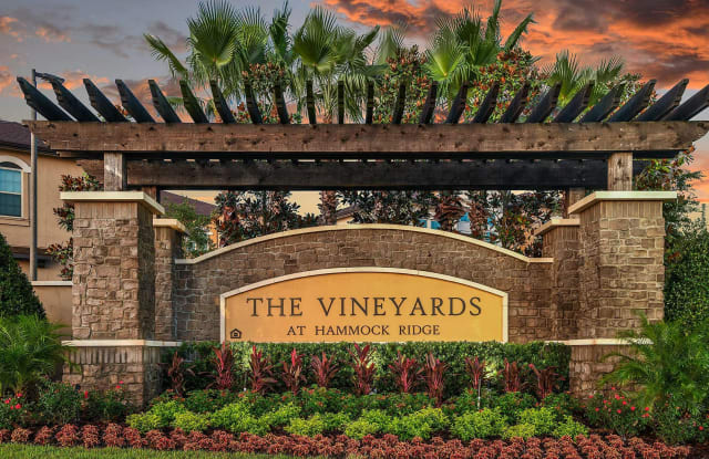 The Vineyards at Hammock Ridge photos photos