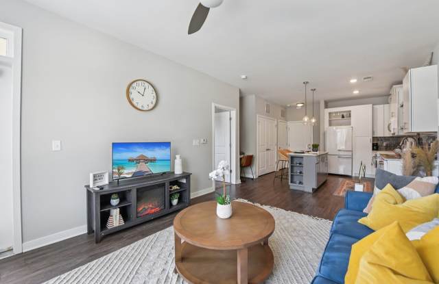 Asbury Flats Gallery 2