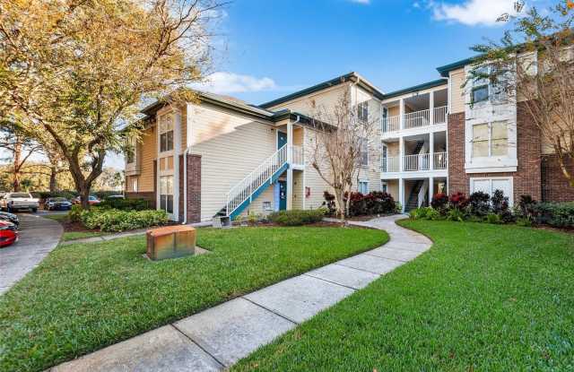 TAMPA APARTMENT FOR RENT! photos photos