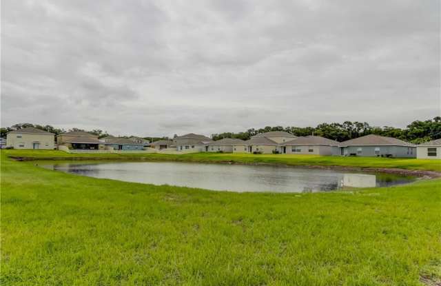 10231 STRAWBERRY TETRA DRIVE Gallery 4