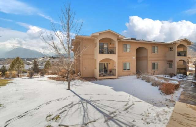 1675 Little Bear Creek Point photos photos
