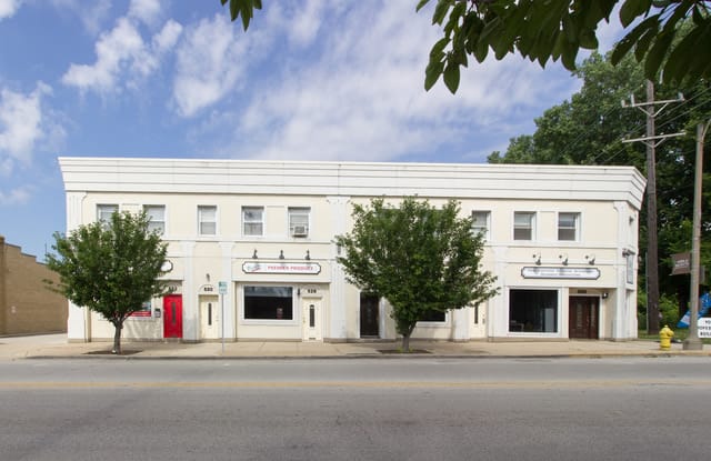 530 South york Street - 530 S York St, Elmhurst, IL 60126