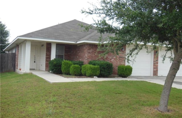 455 Roadrunner - 455 Roadrunner Avenue, New Braunfels, TX 78130