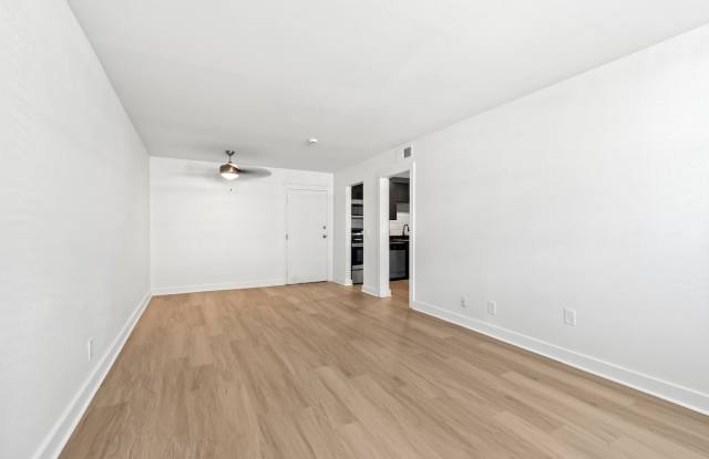 The Canvas Gallery 2