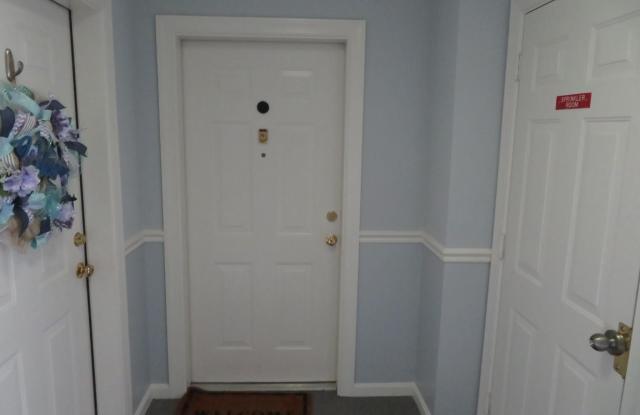 307 RAIN WATER WAY Gallery 2