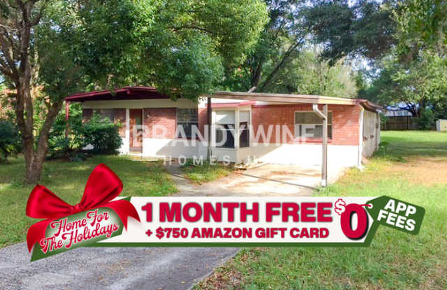 13906 Raulerson Road - 13906 Raulerson Road, Riverview, FL 33569