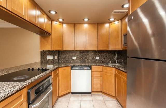 791 South Plymouth Court - 791 South Plymouth Court, Chicago, IL 60605