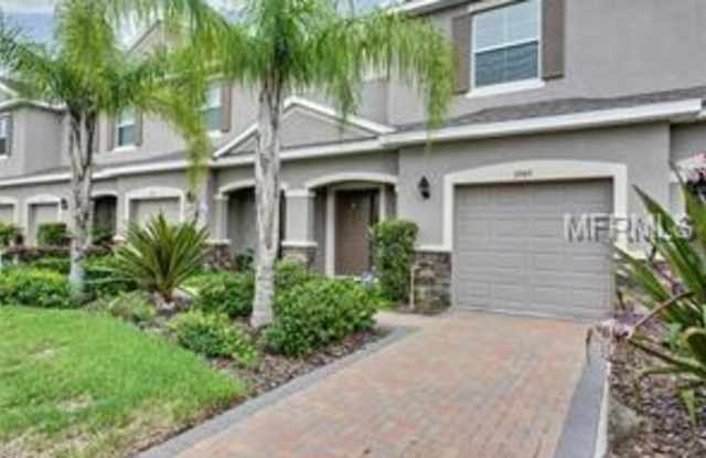 3949 CLAYBROOK DRIVE - 3949 Claybrook Drive, Wesley Chapel, FL 33544