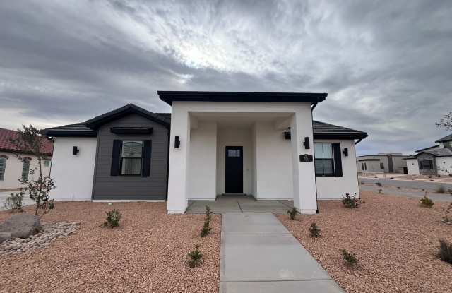 Desert Color Dream! photos photos