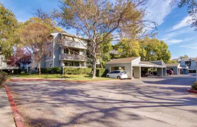 3514 Birchwood Ter Apt 304 Gallery 3