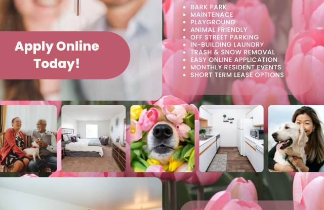 1072 E Chicago Blvd photos photos