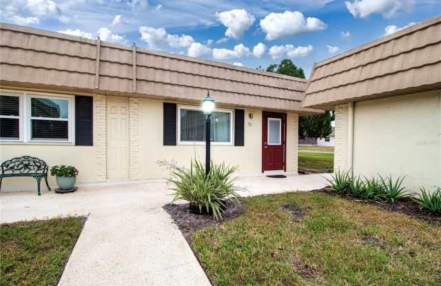 202 BEDFORD STREET - 202 Bedford Street, Sun City Center, FL 33573