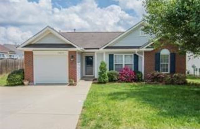 10113 Madison Park Drive - 10113 Madison Park Drive, Charlotte, NC 28269