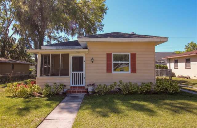319 KERNEYWOOD STREET - 319 Kerneywood Street, Lakeland, FL 33803