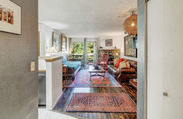 FRISCO ! Furnished! 1 pet negotiable!  An Artist's retreat! Must see. photos photos