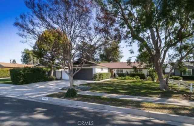 6424 Franrivers photos photos