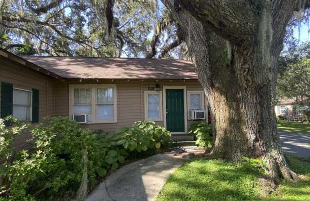 1 Bedroom 1 bath Leesburg - 1105 Johnson Street, Leesburg, FL 34748