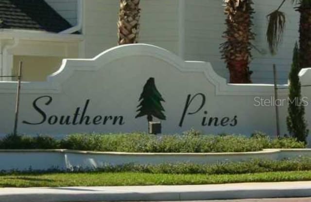1300 EASTERN PECAN PLACE - 1300 Eastern Pecan Pl, Winter Garden, FL 34787